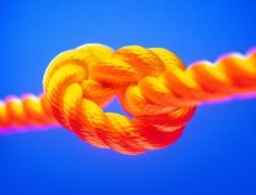 勞務(wù)派遣--全程、轉(zhuǎn)移、減員、項(xiàng)目及試用派遣